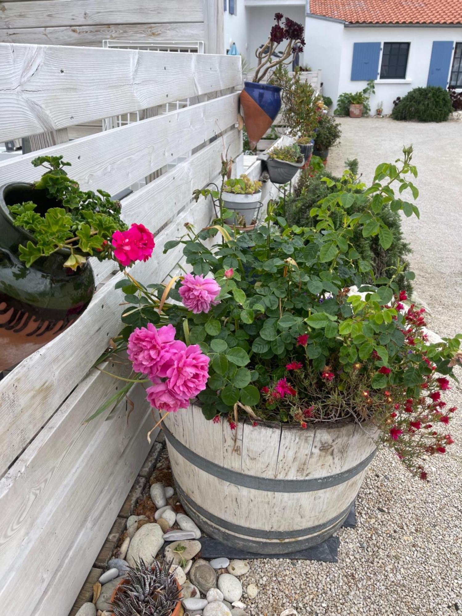 Clos Des Aigrettes -6 Gites De Charme Et Confort A 30M Du Port De La Cotinière Eksteriør bilde